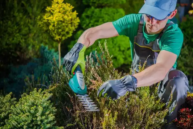 landscaping services Orangeburg